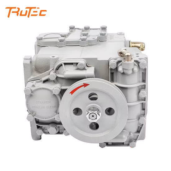 Gas Station Parts Tatsuno Pump Fuel Dispenser Gear Pump Parts